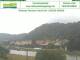 Bad Schandau 10.06.2025 11:50
