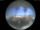 Alba Adriatica 01.07.2025 11:50