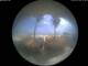 Alba Adriatica 14.06.2025 11:50