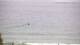 Nigran 16.07.2025 11:53