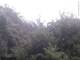 Herdecke 14.07.2025 11:53