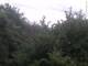 Herdecke 06.07.2025 11:50