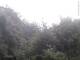 Herdecke 22.05.2025 11:50
