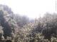 Herdecke 18.04.2025 11:50