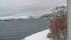 Kjøllefjord 30.04.2025 11:50
