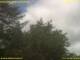 Nettetal 11.07.2025 11:50