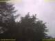 Nettetal 12.07.2025 11:50