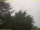 Nettetal 06.07.2025 11:50