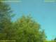 Nettetal 11.05.2025 11:50