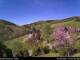 Diedenshausen (Bad Berleburg) 30.04.2025 11:51