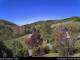 Diedenshausen (Bad Berleburg) 11.05.2025 11:51