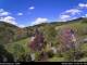 Diedenshausen (Bad Berleburg) 29.04.2025 11:51