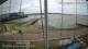 Brightlingsea 15.07.2025 11:54