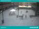 Innsbruck 15.07.2025 11:55