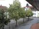 Rimbach 14.06.2025 11:45