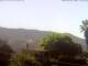 El Paso (La Palma) 28.06.2025 11:45