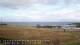 Laukvik 29.04.2025 11:52