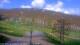 Nellysford, Virginia 29.04.2025 11:48