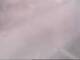 Fort Lauderdale, Florida 08.07.2025 11:49