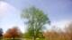 Harriman, New York 30.04.2025 11:51
