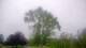 Harriman, New York 08.06.2025 11:51