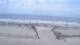 Margate City, New Jersey 30.04.2025 11:51