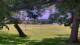 Camp Verde, Texas 09.07.2025 11:54