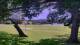Camp Verde, Texas 11.07.2025 11:54