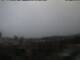 Mataro 30.04.2025 11:46