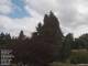 Son en Breugel 11.07.2025 12:46