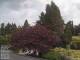Son en Breugel 09.06.2025 12:46