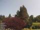 Son en Breugel 21.06.2025 12:46