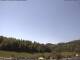 Neuenhof im Aargau 30.04.2025 12:52