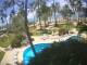 Cabarete 02.07.2025 12:46