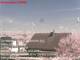 Suthfeld 23.04.2025 12:52