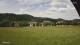 Hinterzarten 24.05.2025 12:46
