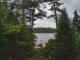 Hoel Pond, New York 14.07.2025 12:58
