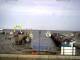 Norden (Nordstrand) 29.04.2025 12:53