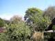 Audley 30.04.2025 12:53
