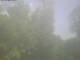 Ittigen 15.06.2025 12:46