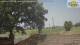 Parma 08.06.2025 12:53
