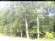 Hilversum 14.07.2025 12:00