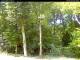Hilversum 21.03.2025 12:54