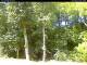 Hilversum 23.03.2025 12:54