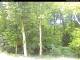 Hilversum 09.05.2025 12:54