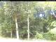 Hilversum 15.06.2025 12:53