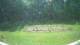 Tustin, Michigan 30.06.2025 12:53