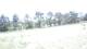 Pittsburg, Illinois 11.05.2025 12:59