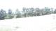 Pittsburg, Illinois 30.06.2025 12:59