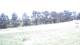 Pittsburg, Illinois 08.06.2025 12:59